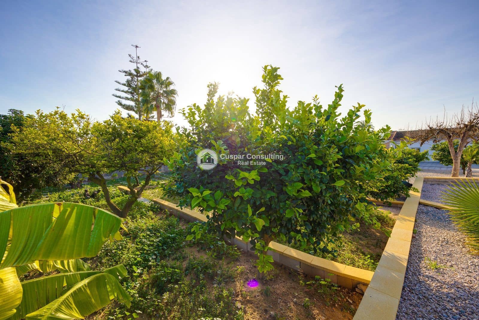 3 chambre Villa/Maison à vendre à Los Montesinos avec piscine garage - 329 900 € (Ref: 9684363)