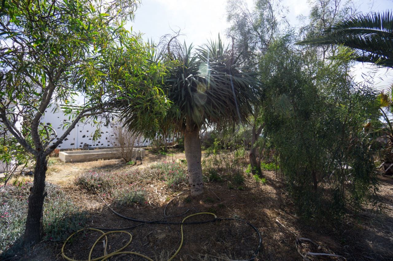 4 soveværelse Finca/Landehus til salg i La Oliva med garage - € 460.000 (Ref: 7486015)