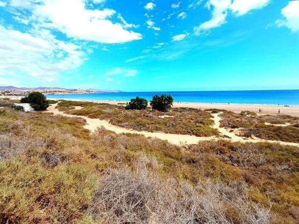 2 Zimmer Haus zu verkaufen in Costa Calma, Pájara - 349.000 € (Ref: 8241115)