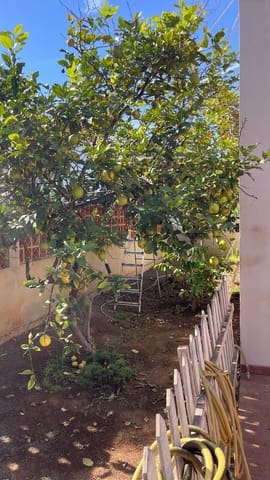 5 soveværelse Villa til salg i Corralejo, La Oliva - € 550.000 (Ref: 8648992)