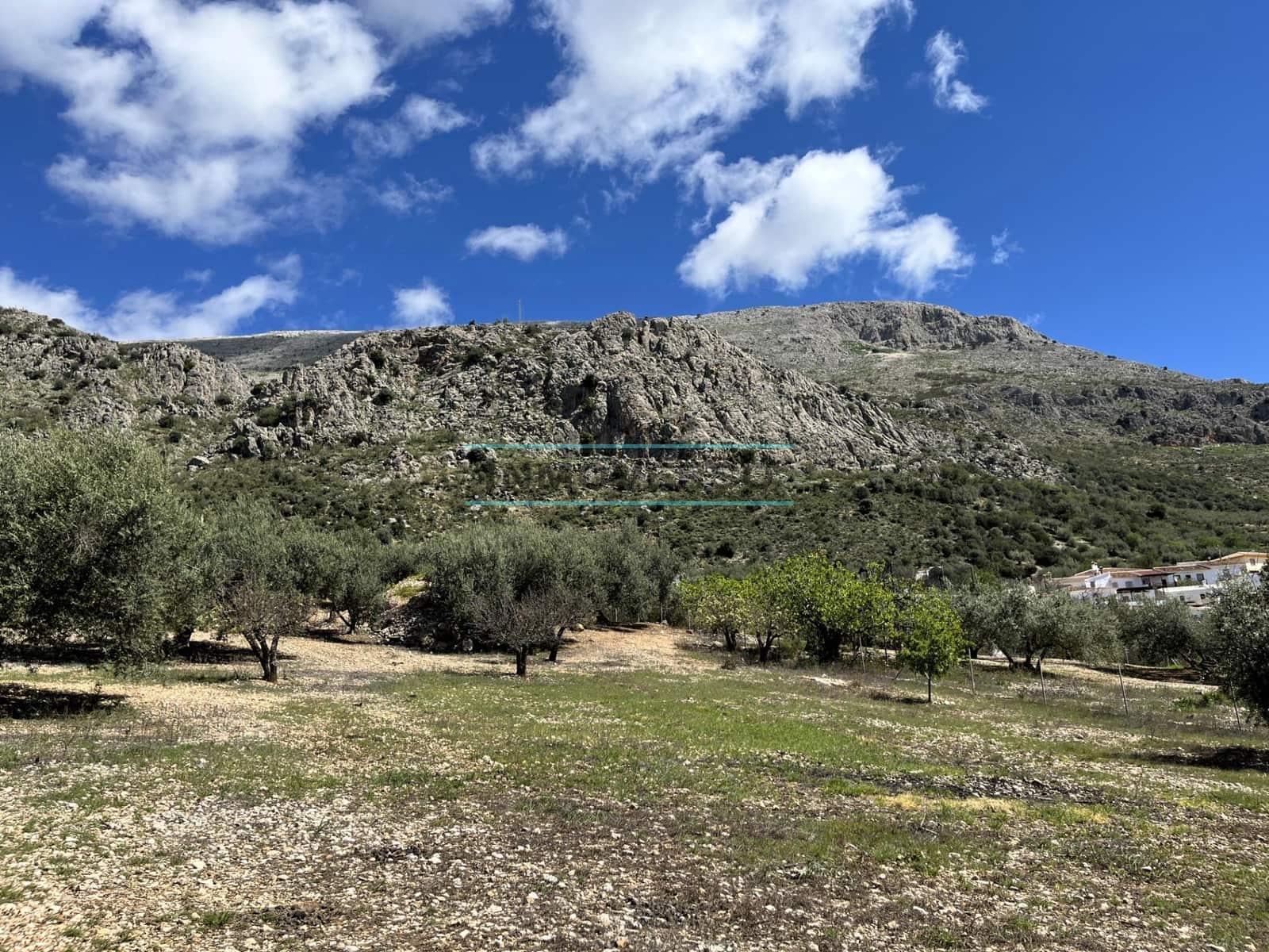 Byggegrund til salg i Periana - € 69.000 (Ref: 8027400)