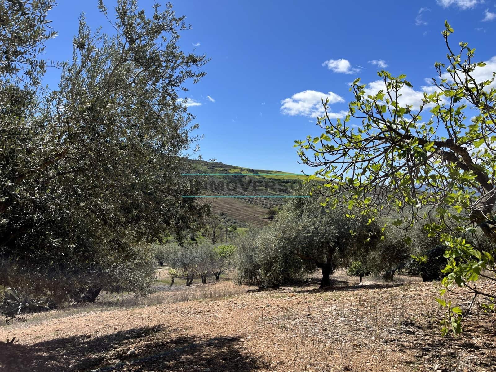 Byggegrund til salg i Periana - € 69.000 (Ref: 8027400)