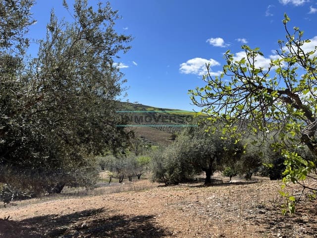 Building Plot for sale in Periana - € 69,000 (Ref: 8027400)