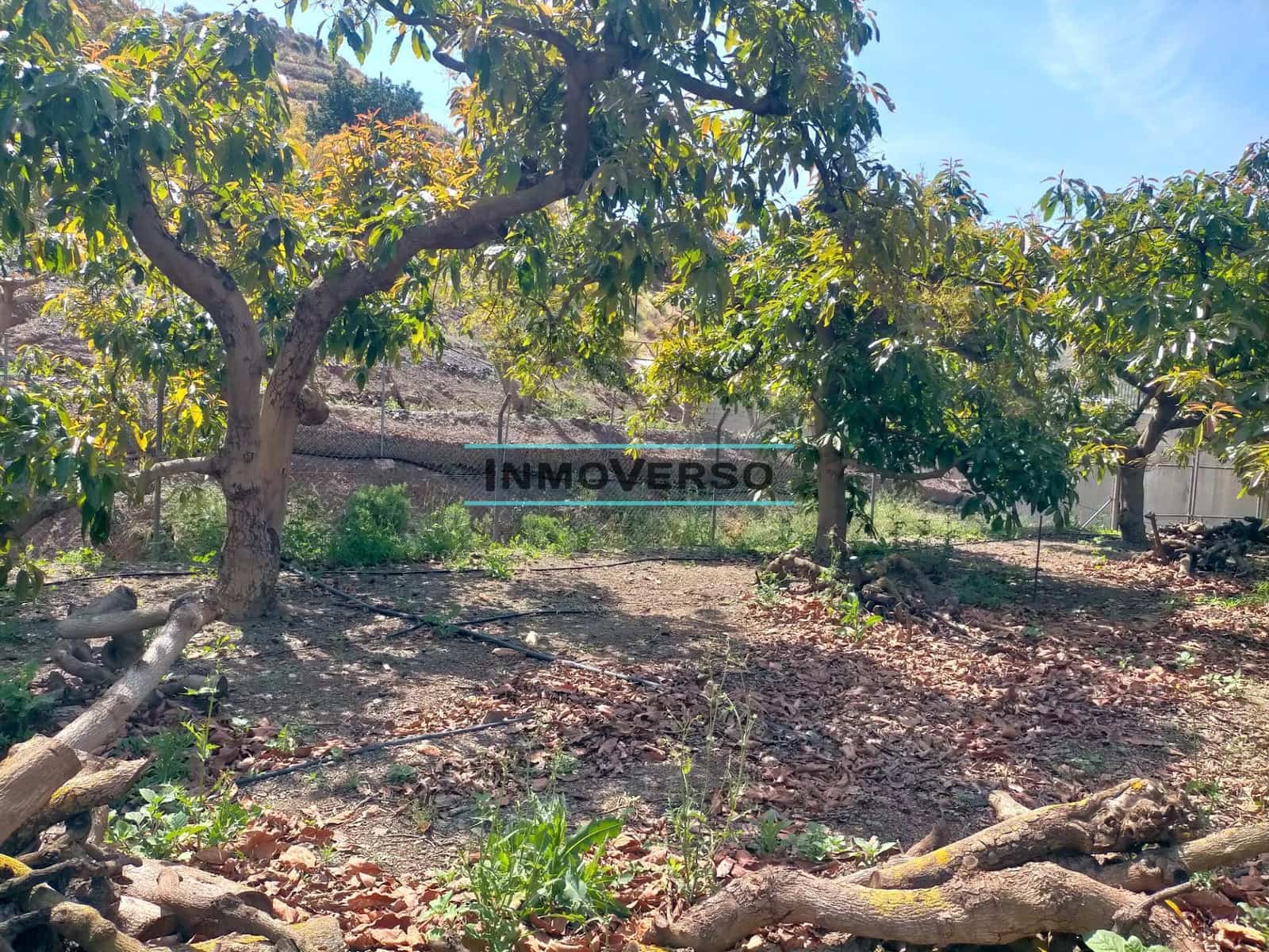 Działka budowlana na sprzedaż w Vinuela - 179 000 € (Ref: 8298258)