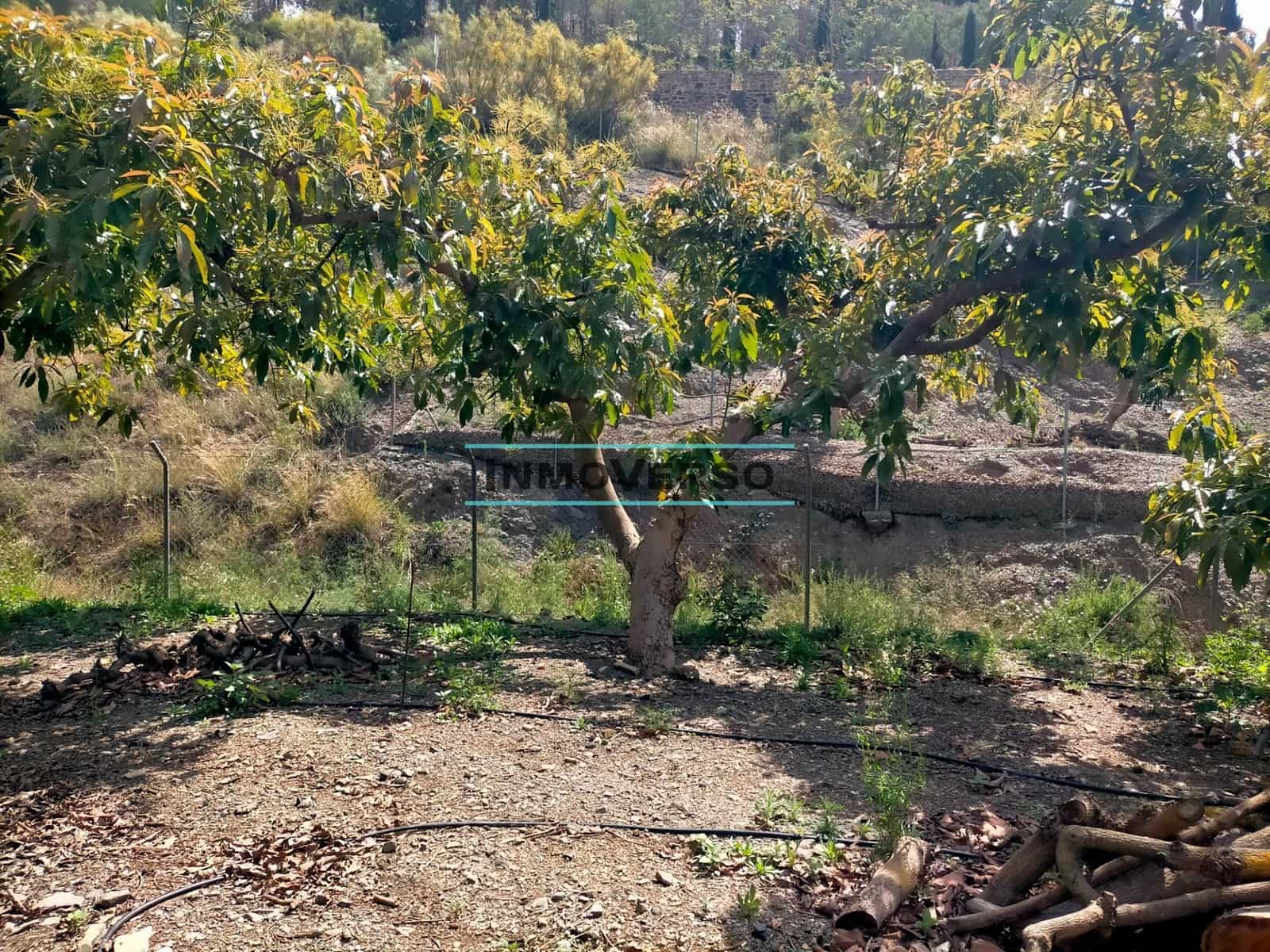 Działka budowlana na sprzedaż w Vinuela - 179 000 € (Ref: 8298258)