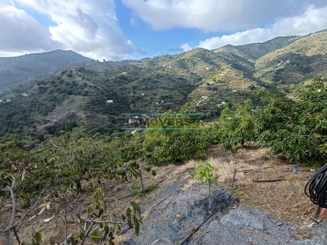 Mark till salu i Sayalonga - 170 000 € (Ref: 8705205)