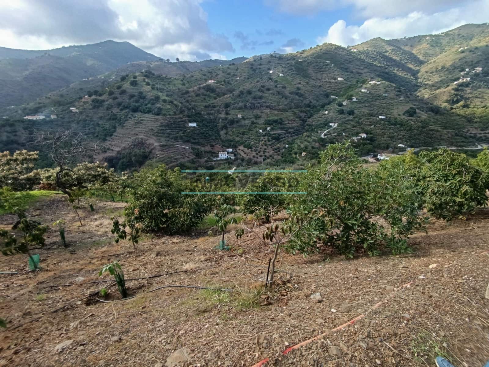 Grond te koop in Sayalonga - € 170.000 (Ref: 8705205)