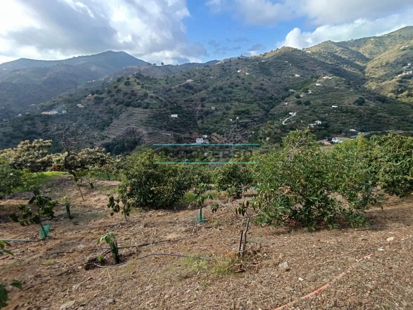 Grond te koop in Sayalonga - € 170.000 (Ref: 8705205)