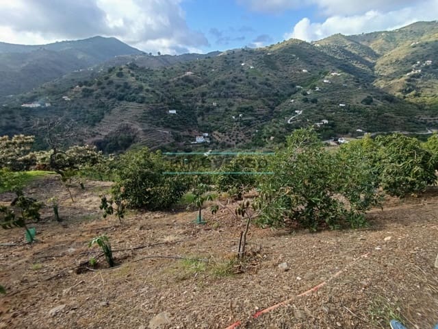 Mark till salu i Sayalonga - 170 000 € (Ref: 8705205)