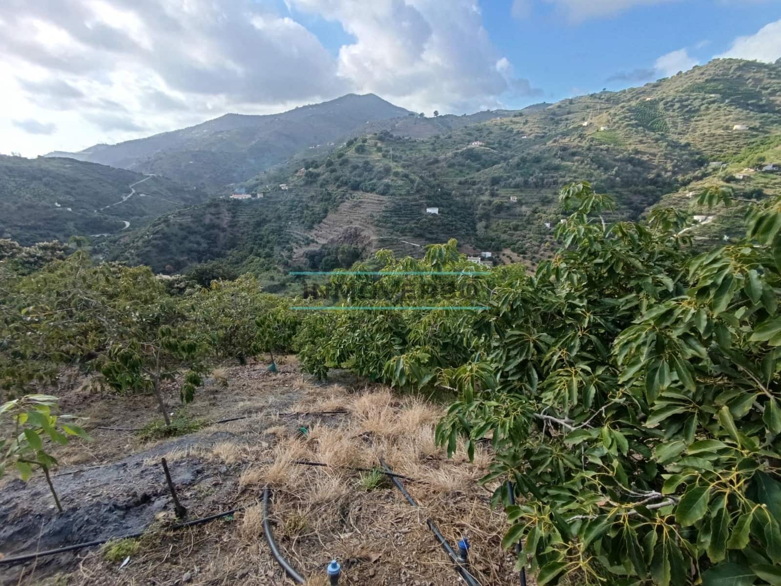 Grond te koop in Sayalonga - € 170.000 (Ref: 8705205)