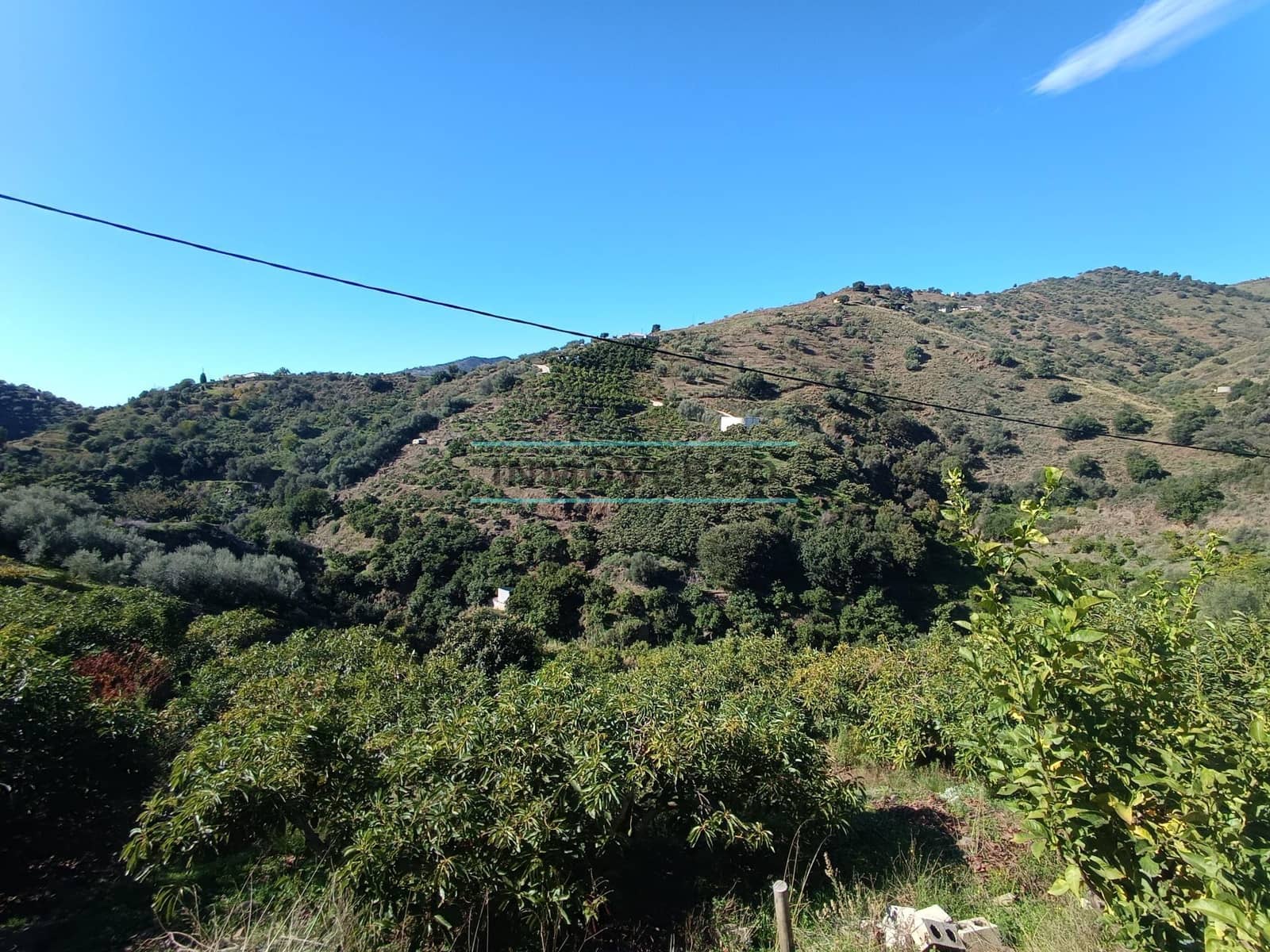 Mark till salu i Sayalonga - 300 000 € (Ref: 8705207)