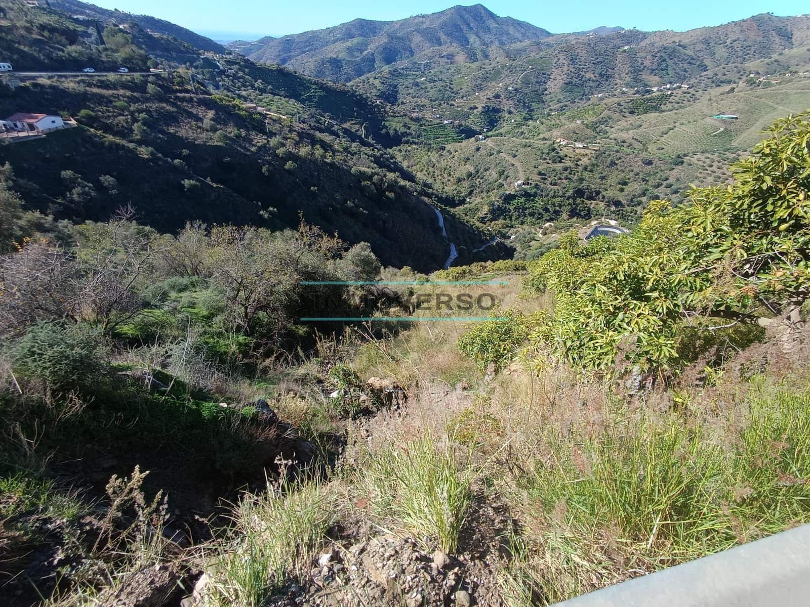 Mark till salu i Sayalonga - 300 000 € (Ref: 8705207)