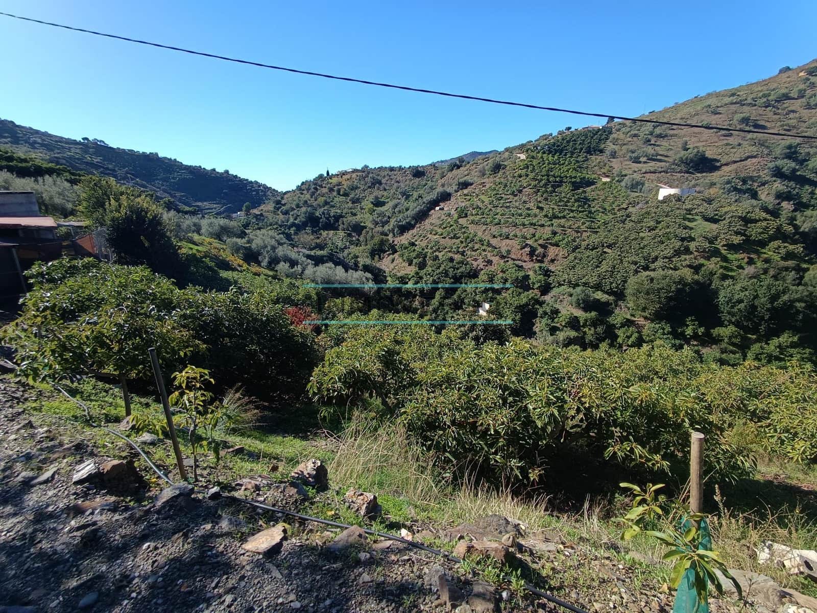 Mark till salu i Sayalonga - 300 000 € (Ref: 8705207)