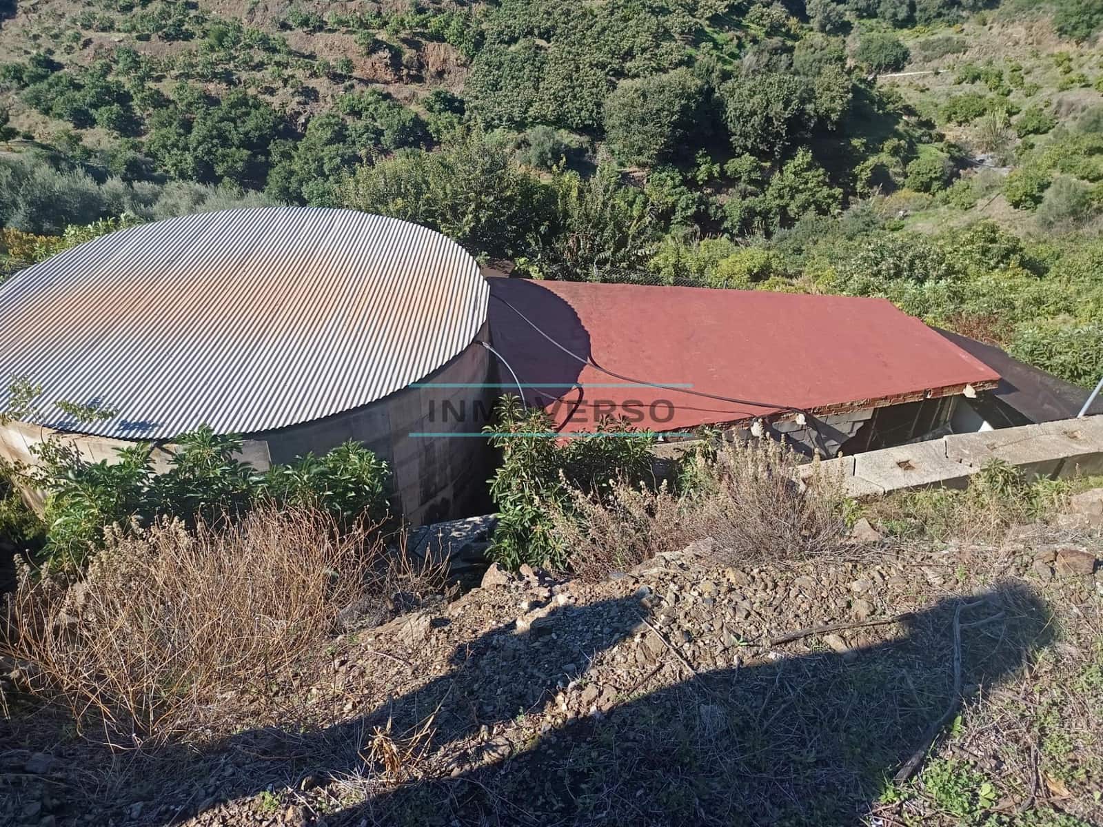 Mark till salu i Sayalonga - 300 000 € (Ref: 8705207)