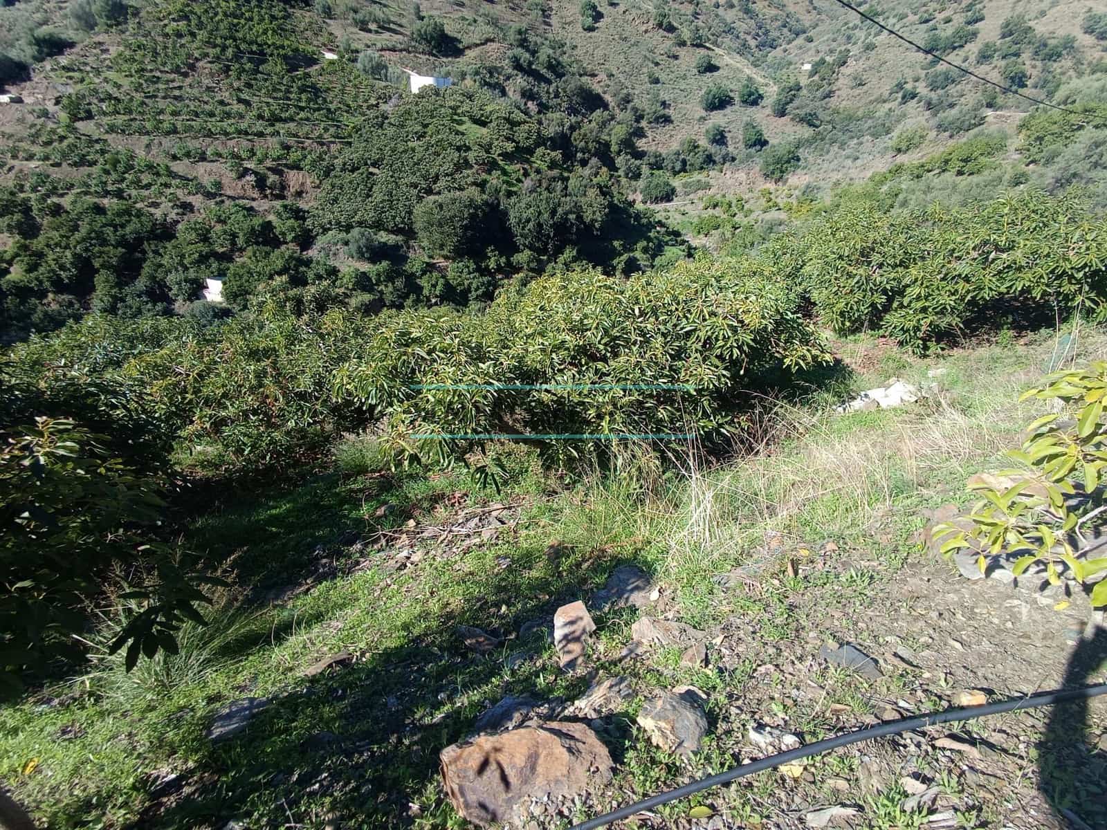 Mark till salu i Sayalonga - 300 000 € (Ref: 8705207)