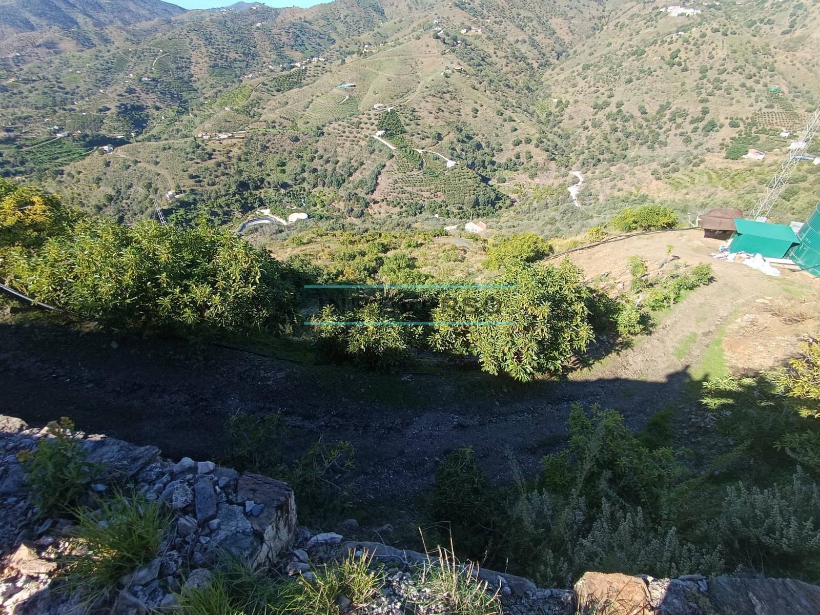 Mark till salu i Sayalonga - 300 000 € (Ref: 8705207)