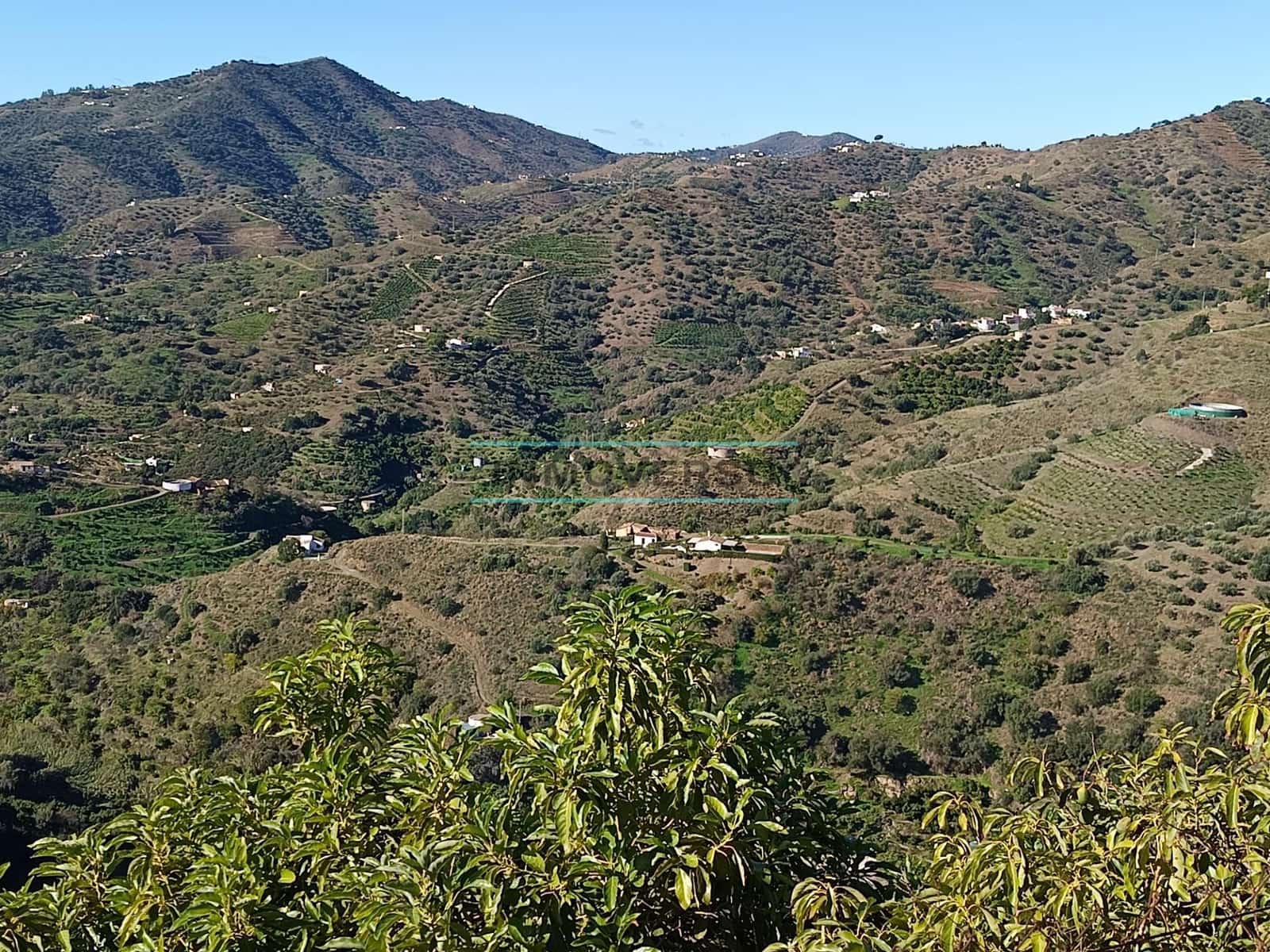 Mark till salu i Sayalonga - 300 000 € (Ref: 8705207)