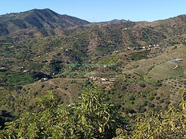 Mark till salu i Sayalonga - 300 000 € (Ref: 8705207)