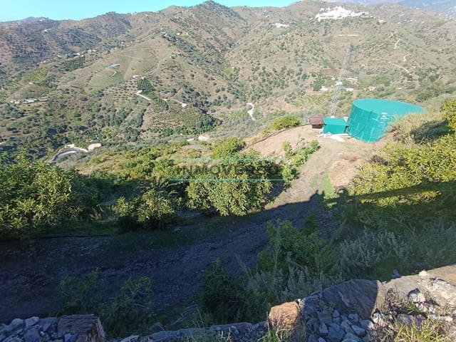 Mark till salu i Sayalonga - 300 000 € (Ref: 8705207)