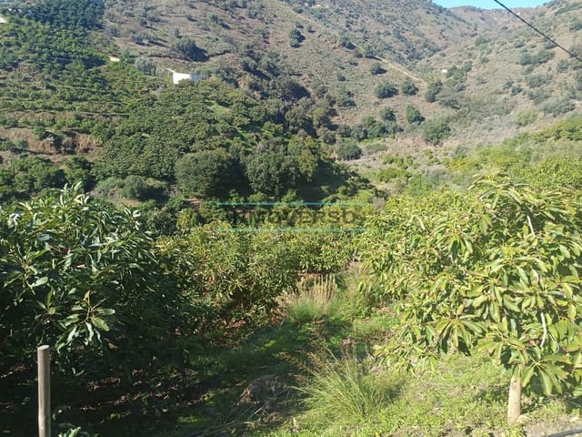 Mark till salu i Sayalonga - 300 000 € (Ref: 8705207)