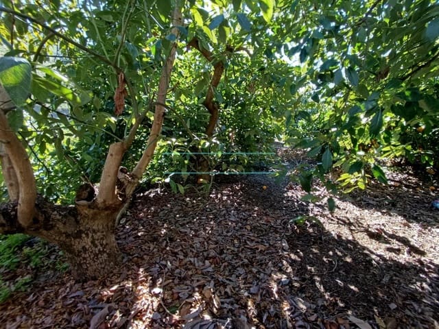 5 sovrum Finca/Hus på landet till salu i Canillas de Aceituno med pool - 280 000 € (Ref: 8806368)