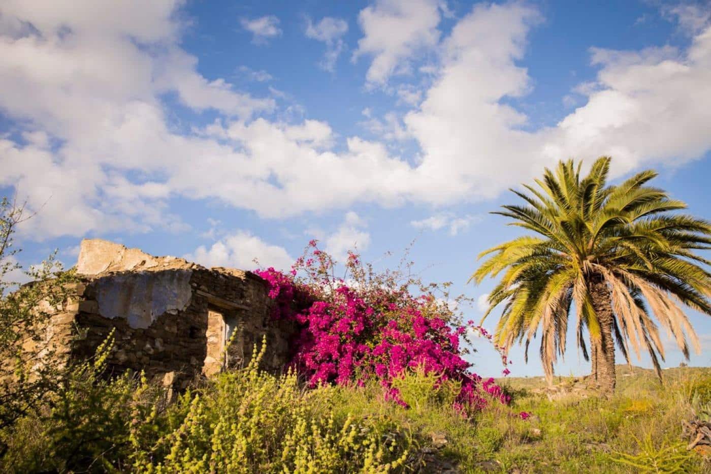 Grunde uden byggetilladelser til salg i Moclinejo - € 168.000 (Ref: 9106449)