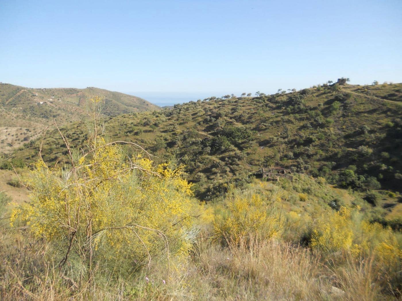 Grunde uden byggetilladelser til salg i Moclinejo - € 168.000 (Ref: 9106449)