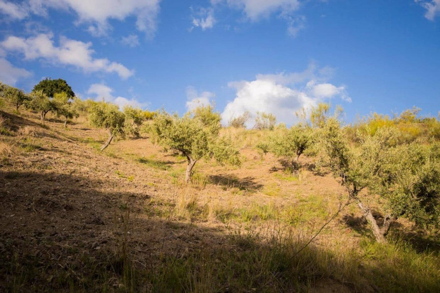 Grunde uden byggetilladelser til salg i Moclinejo - € 168.000 (Ref: 9106449)