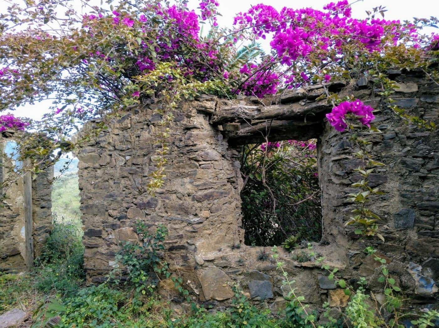 Grunde uden byggetilladelser til salg i Moclinejo - € 168.000 (Ref: 9106449)