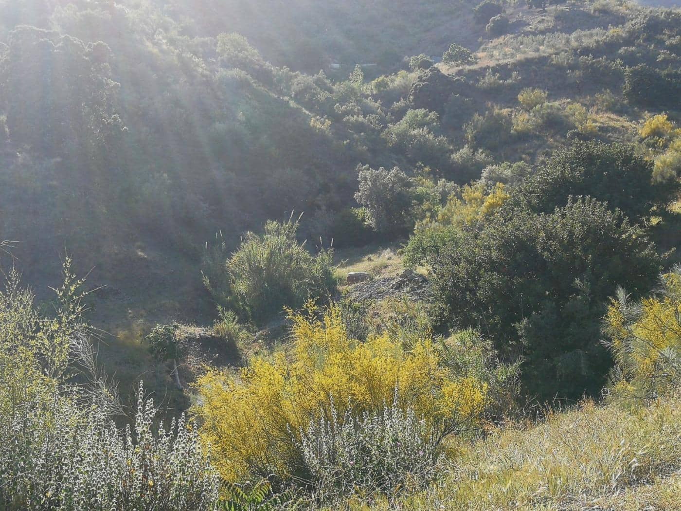 Grunde uden byggetilladelser til salg i Moclinejo - € 168.000 (Ref: 9106449)