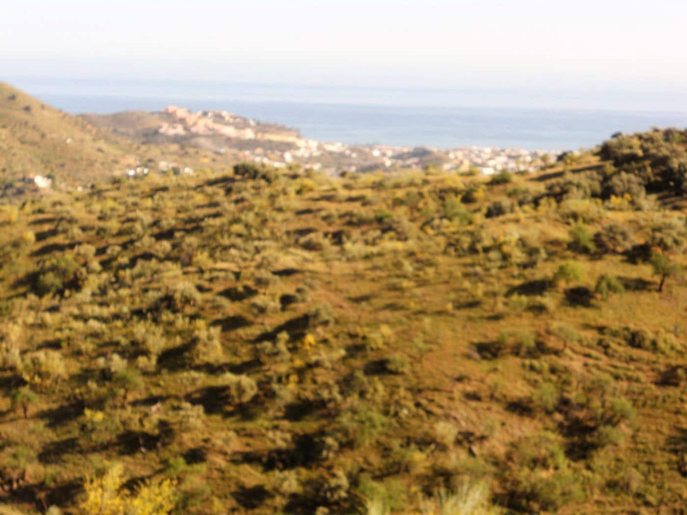 Grunde uden byggetilladelser til salg i Moclinejo - € 168.000 (Ref: 9106449)