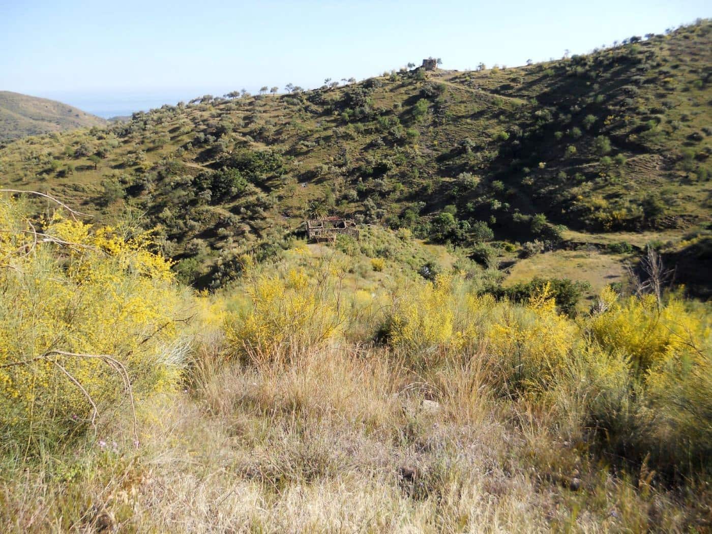 Grunde uden byggetilladelser til salg i Moclinejo - € 168.000 (Ref: 9106449)