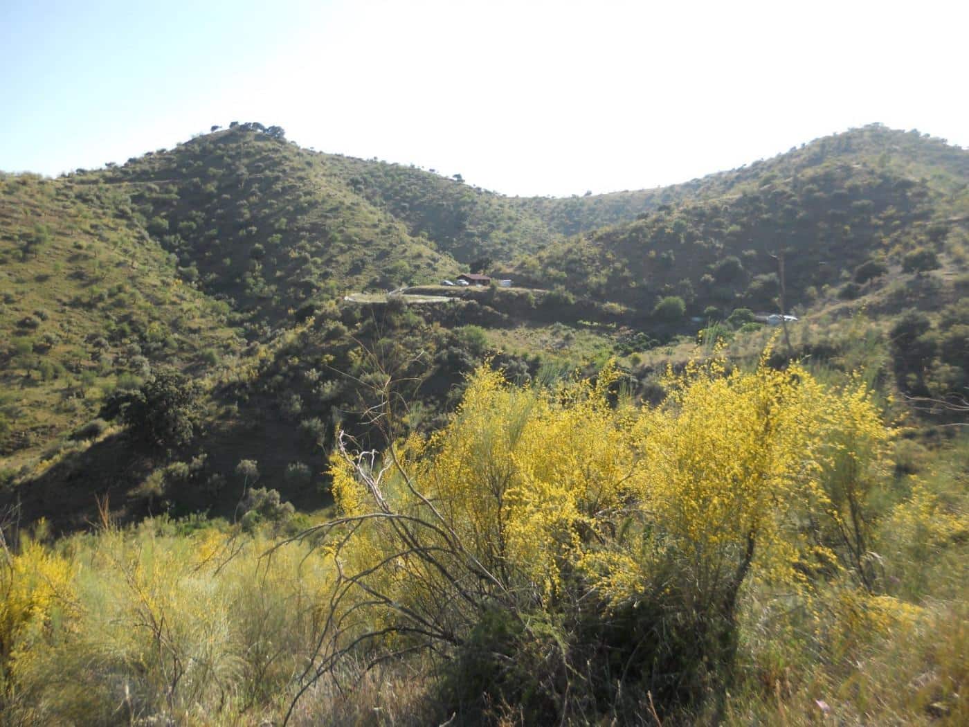 Grunde uden byggetilladelser til salg i Moclinejo - € 168.000 (Ref: 9106449)