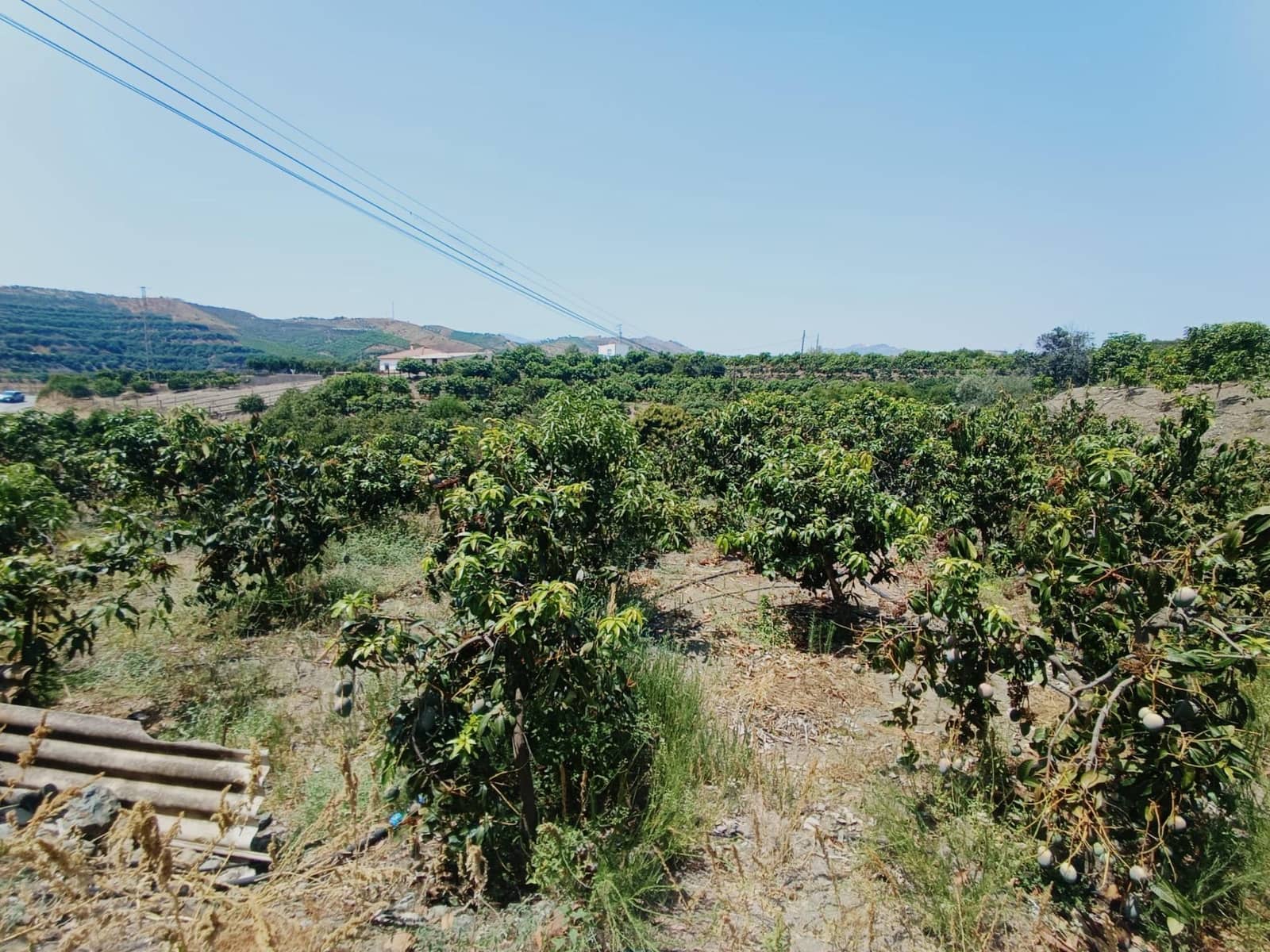 Finca/Herregård til salgs i Almachar - € 195 000 (Ref: 9167326)