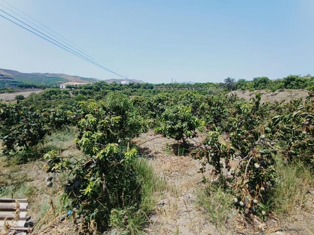 Finca/Maison de Campagne à vendre à Almáchar - 195 000 € (Ref: 9167326)