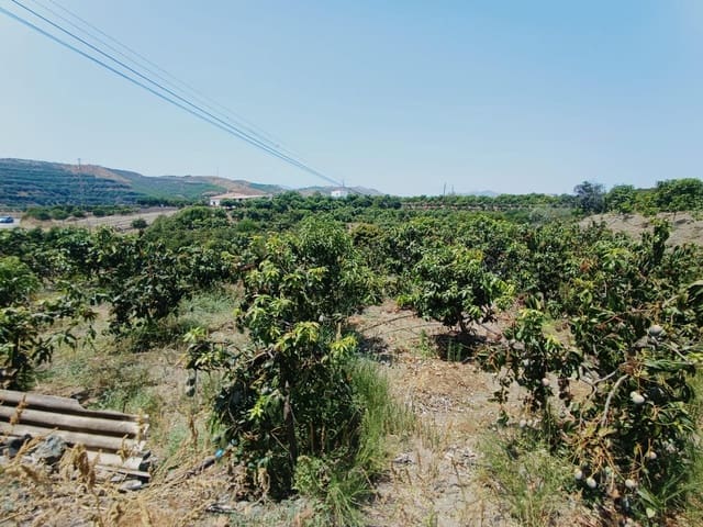 Finca/Maison de Campagne à vendre à Almáchar - 195 000 € (Ref: 9167326)