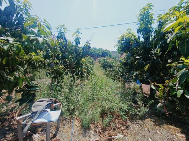 Finca/Maison de Campagne à vendre à Almáchar - 195 000 € (Ref: 9167326)