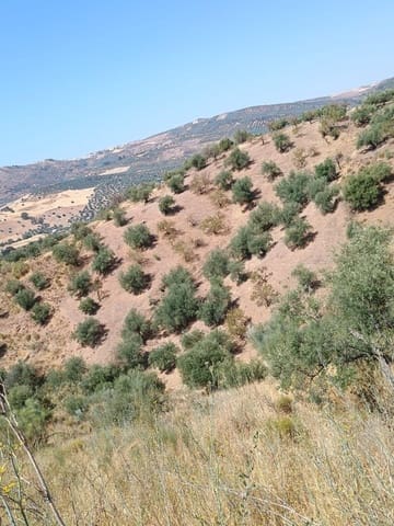 Undeveloped Land for sale in Riogordo - € 24,000 (Ref: 9177707)
