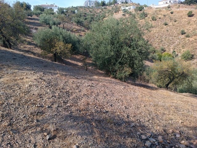 Undeveloped Land for sale in Riogordo - € 24,000 (Ref: 9177707)