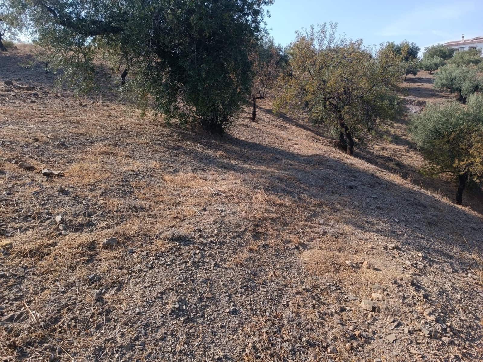 Grunde uden byggetilladelser til salg i Riogordo - € 24.000 (Ref: 9177707)