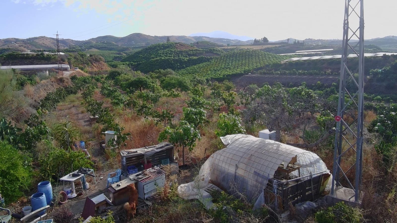 Grunde uden byggetilladelser til salg i Velez-Malaga - € 645.000 (Ref: 9193733)