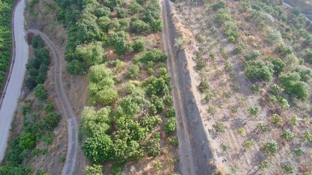 Grunde uden byggetilladelser til salg i Vélez-Málaga - € 645.000 (Ref: 9193733)