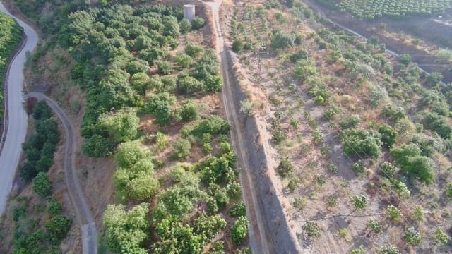 Grunde uden byggetilladelser til salg i Vélez-Málaga - € 645.000 (Ref: 9193733)