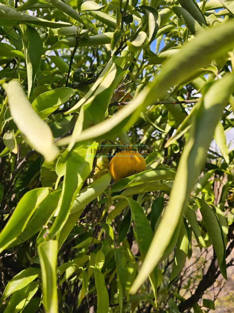 1 soveværelse Finca/Landehus til salg i Iznate - € 139.000 (Ref: 9262518)