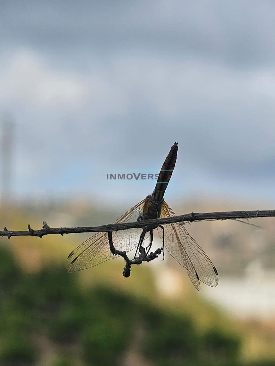 1 soveværelse Finca/Landehus til salg i Iznate - € 139.000 (Ref: 9262518)