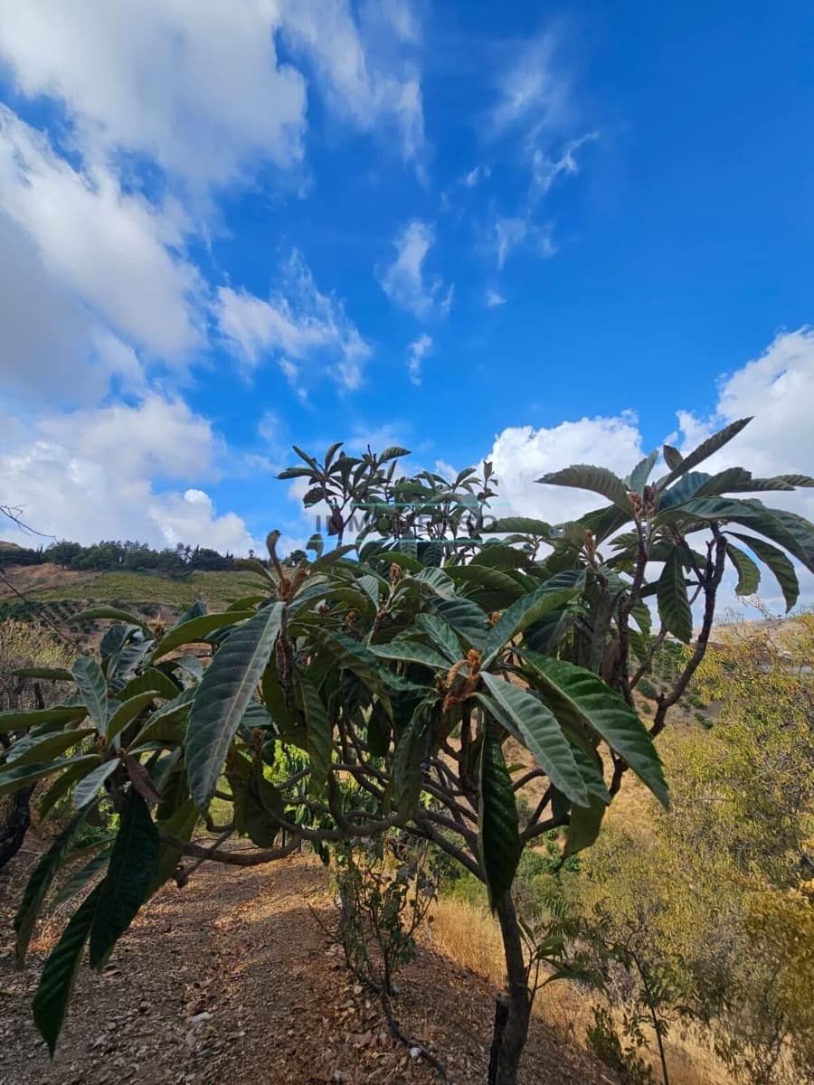 1 soveværelse Finca/Landehus til salg i Iznate - € 139.000 (Ref: 9262518)