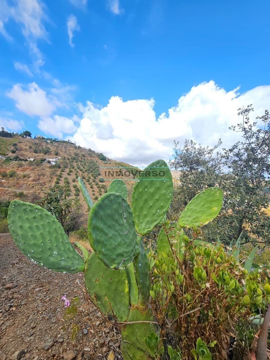 1 soveværelse Finca/Landehus til salg i Iznate - € 139.000 (Ref: 9262518)