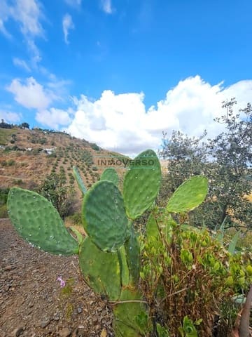 1 soveværelse Finca/Landehus til salg i Iznate - € 139.000 (Ref: 9262518)