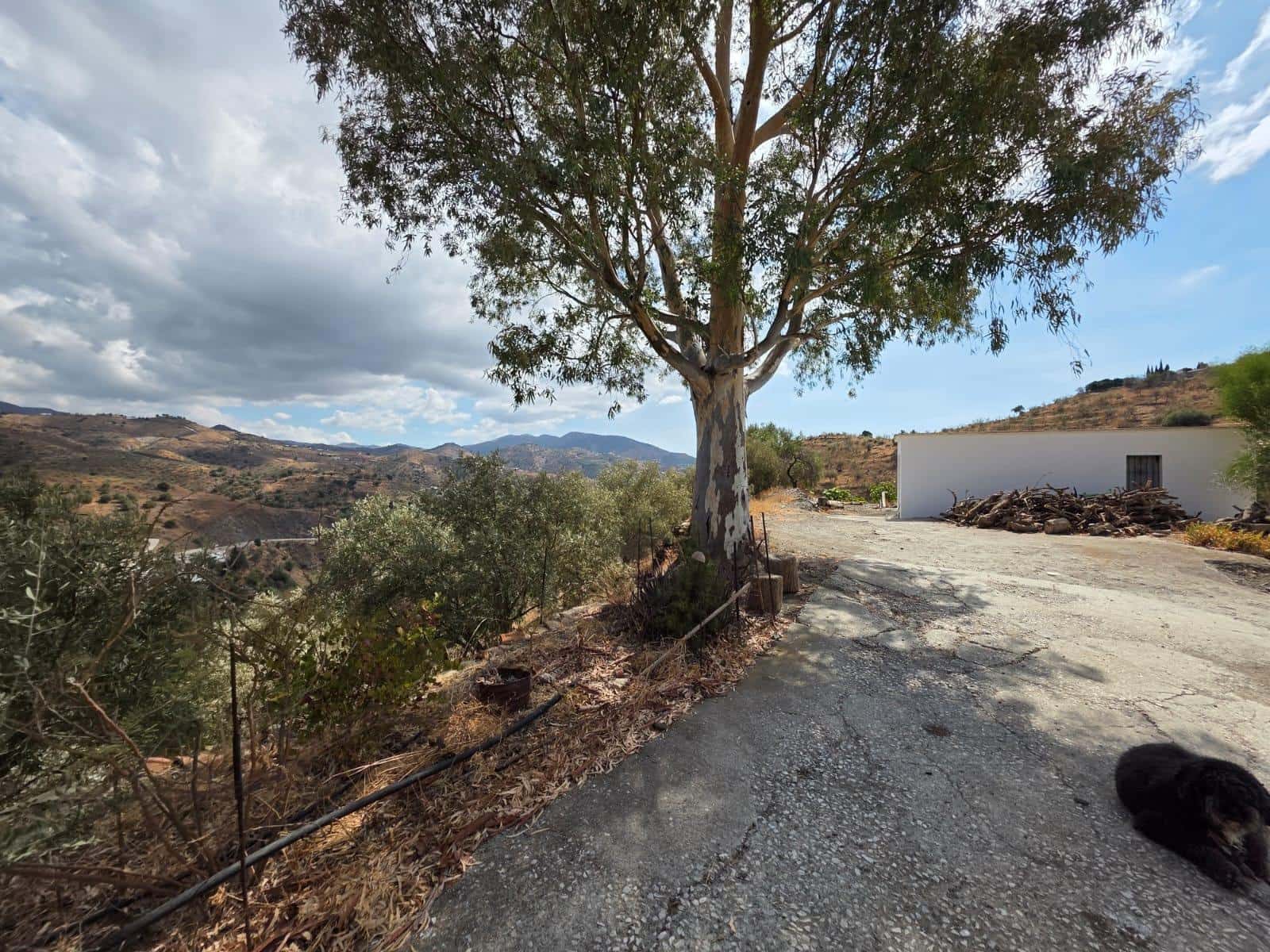 Finca/Landehus til salg i Vinuela - € 420.000 (Ref: 9301001)
