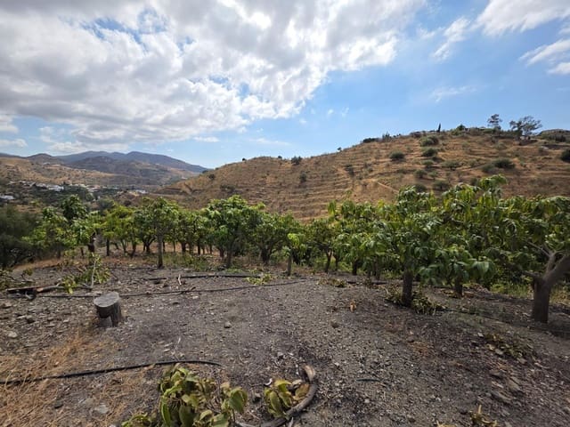 Finca/Casa di Campagna in vendita in Viñuela - 420.000 € (Rif: 9301001)